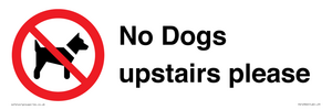 No Dogs upstairs please 
